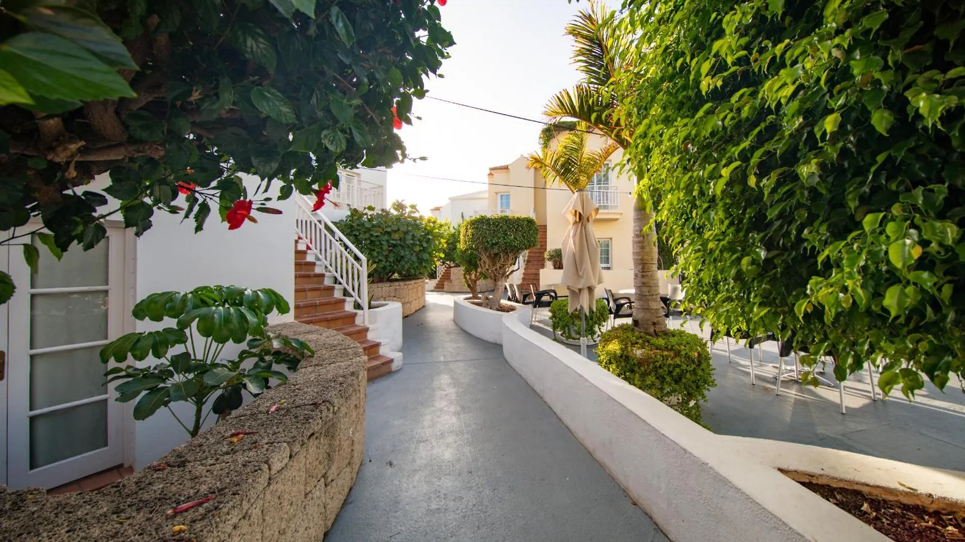 Apartmán Playa Fanabe Costa Adeje
